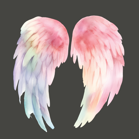 Wings T-Shirt