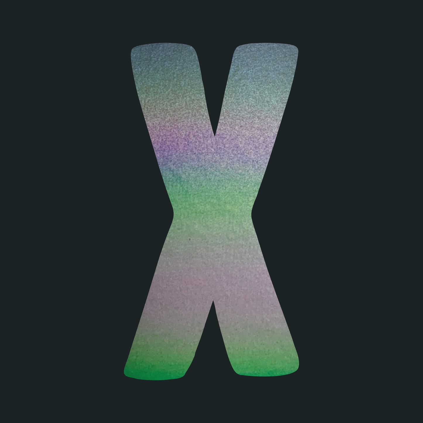 X Logo Black (Rainbow Reflective) T-Shirt