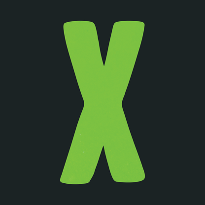 X Logo Lime (Reflective) T-Shirt