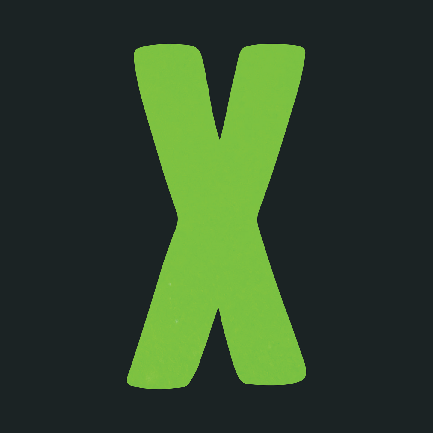 X Logo Lime (Reflective) T-Shirt
